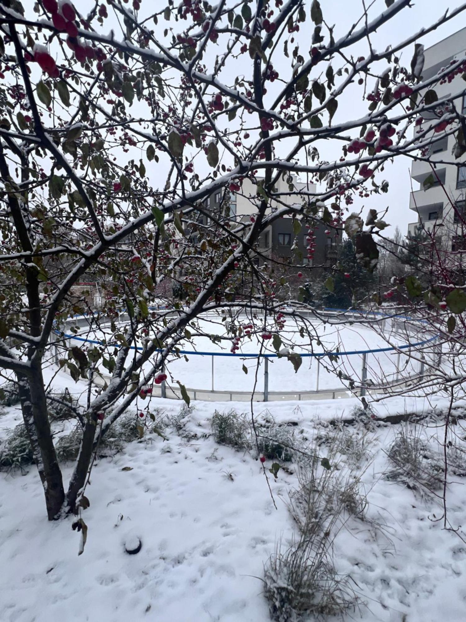 Lake Park Apartament With Free Parking Airport Netflix Apartment Варшава Екстериор снимка