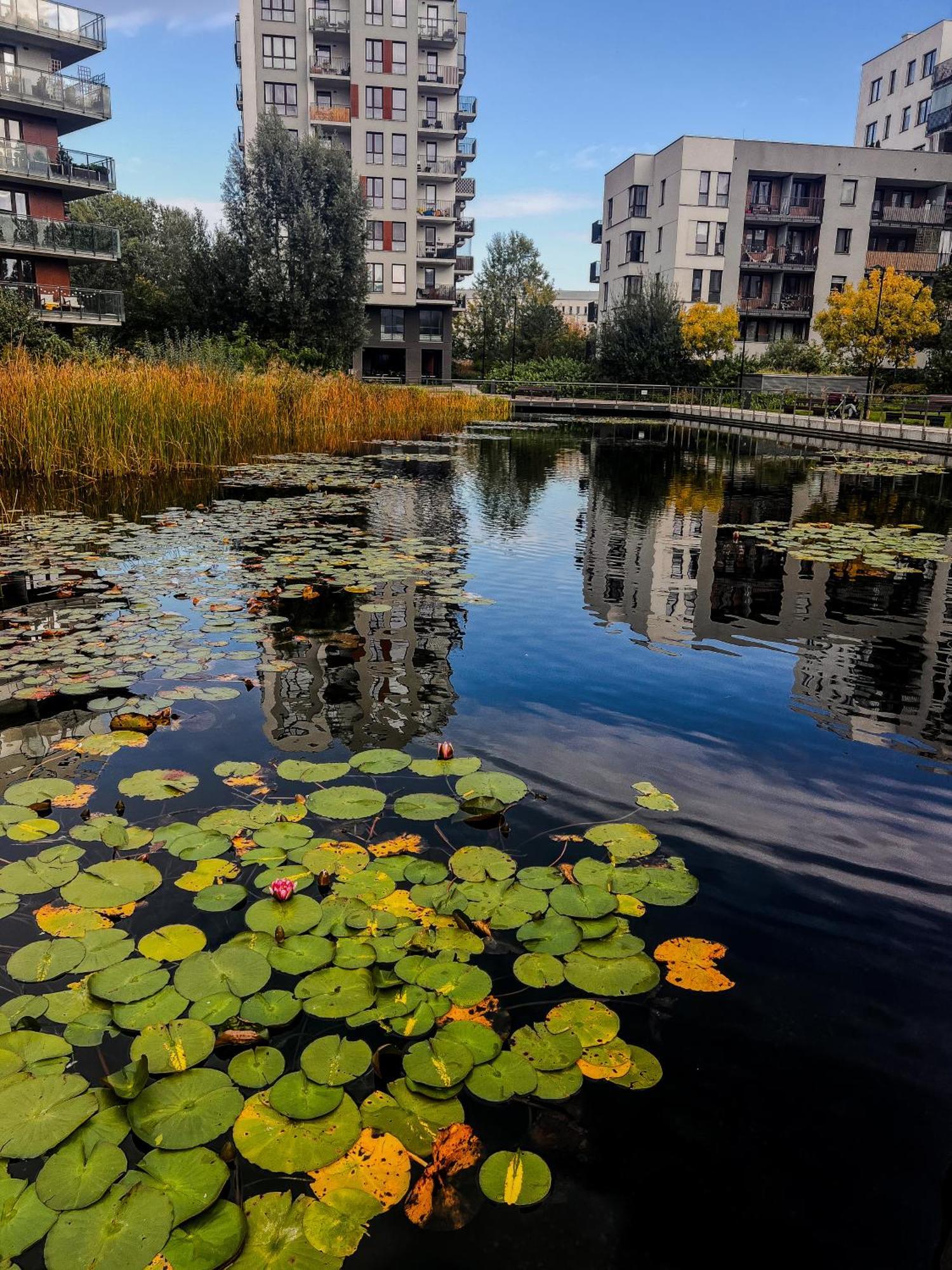 Lake Park Apartament With Free Parking Airport Netflix Apartment Варшава Екстериор снимка
